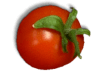 Captcha image 1542